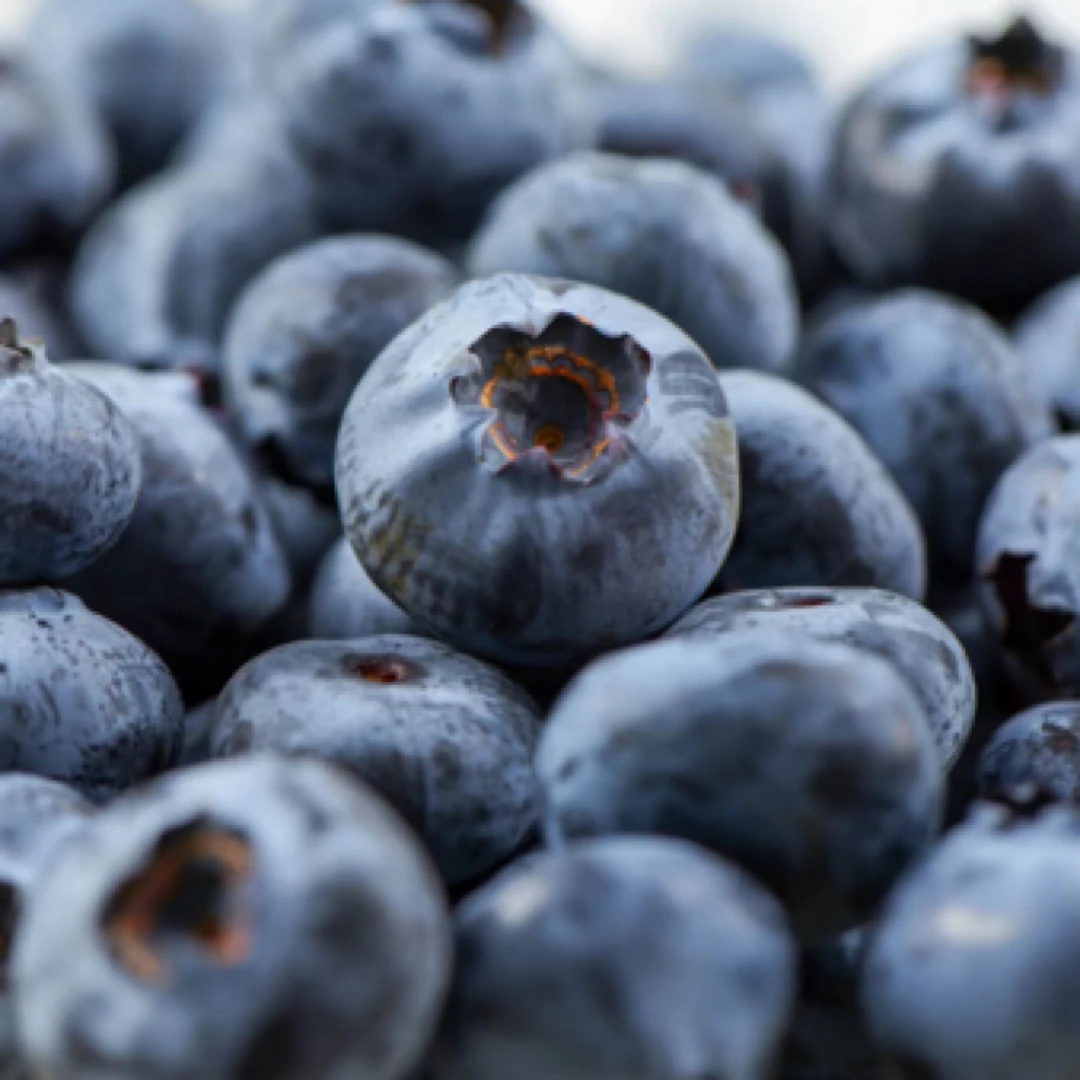 云南蓝莓大果一盒（100g一盒）18mm