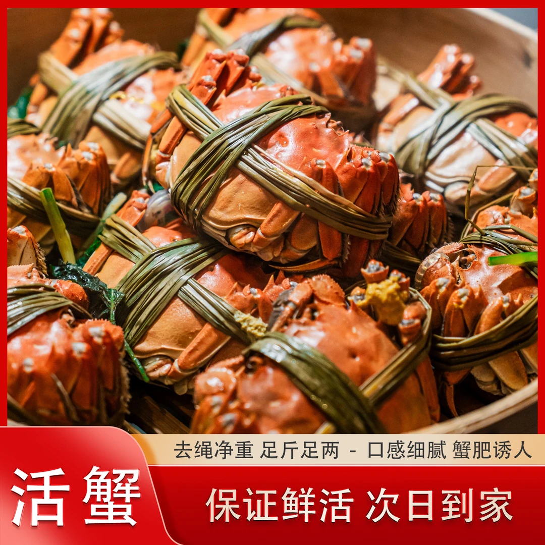 【洪泽湖金标大闸蟹活蟹】公3.8-3.5两母3.8-3.5两礼盒8+2到手10只