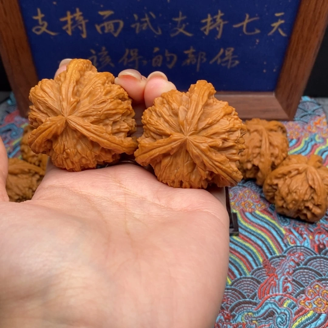 【闪购商品】天*云白狮