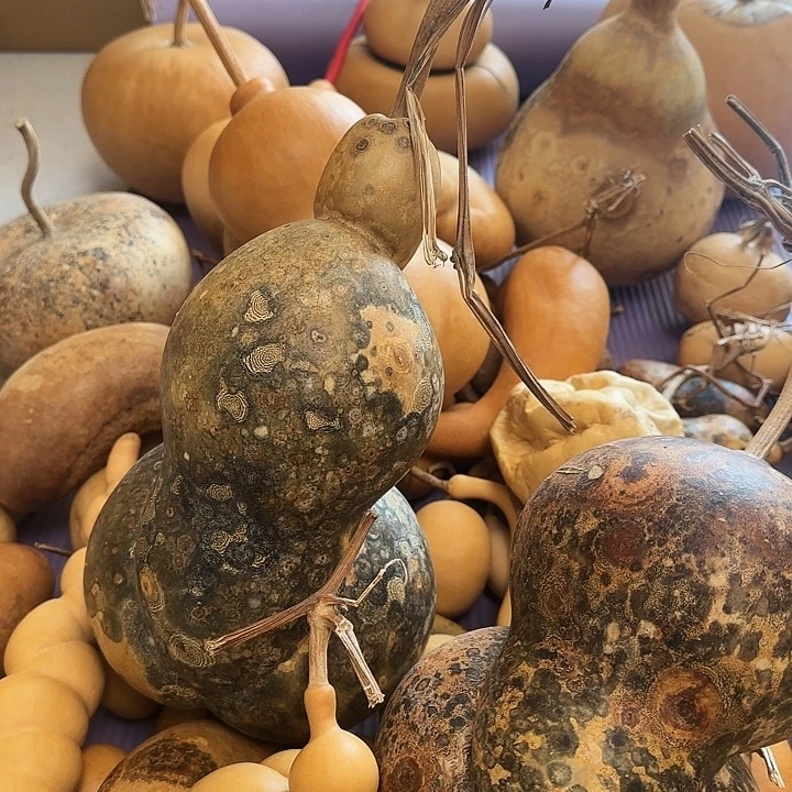 W****葫芦摆件葫芦葫芦葫芦