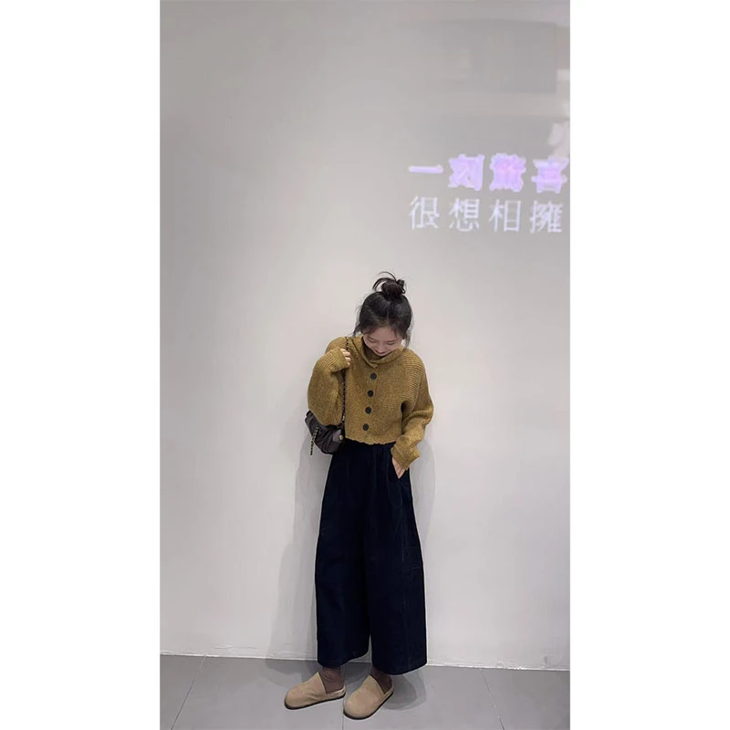 2026秋冬设计感小众洋气休闲百搭针织毛衣上衣高腰宽松显瘦直筒裤