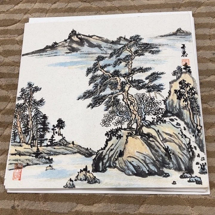国画花鸟的翅膀和羽毛的