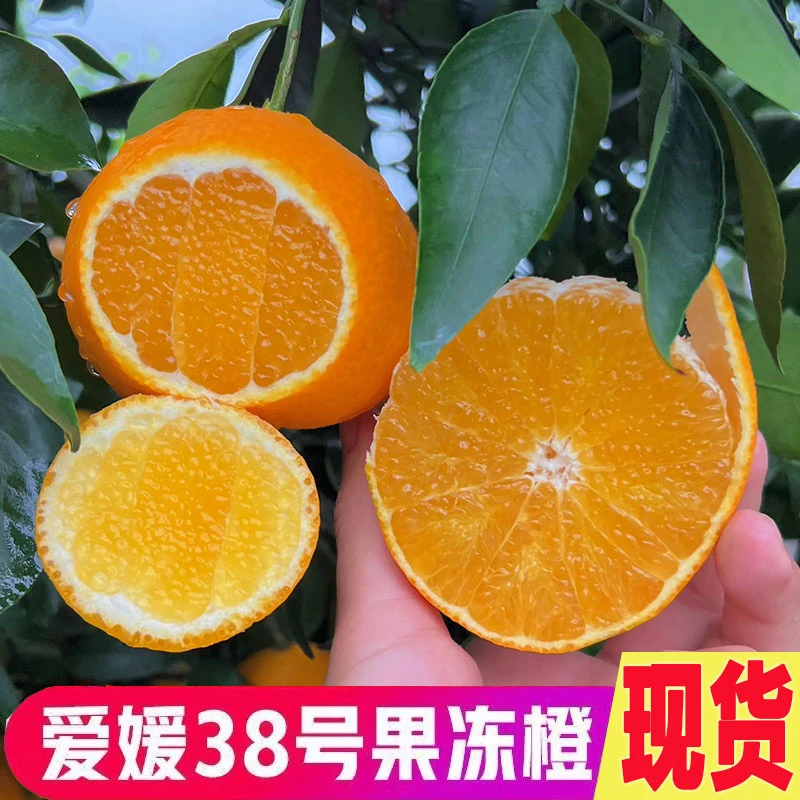 爱媛38号果冻橙正宗四川眉山丹棱果园现摘发新鲜应季柑橘水果abc