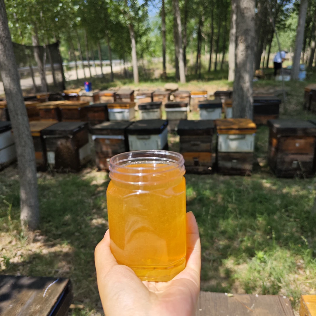 太行山野生酸枣花蜂蜜枣花蜜蜂场现取成熟封盖蜂蜜天然原蜜农家