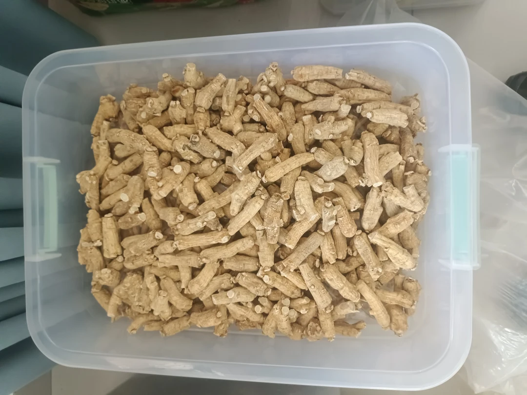 东北特产长白山西洋参顶大号足年原粒可泡酒煲汤磨粉