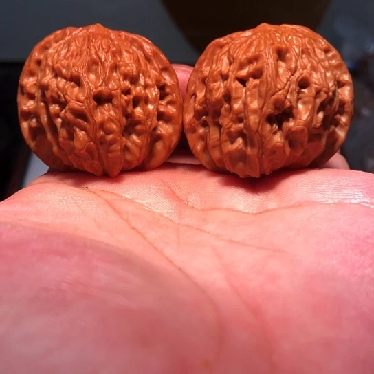 有机玻璃40老树房山磨盘