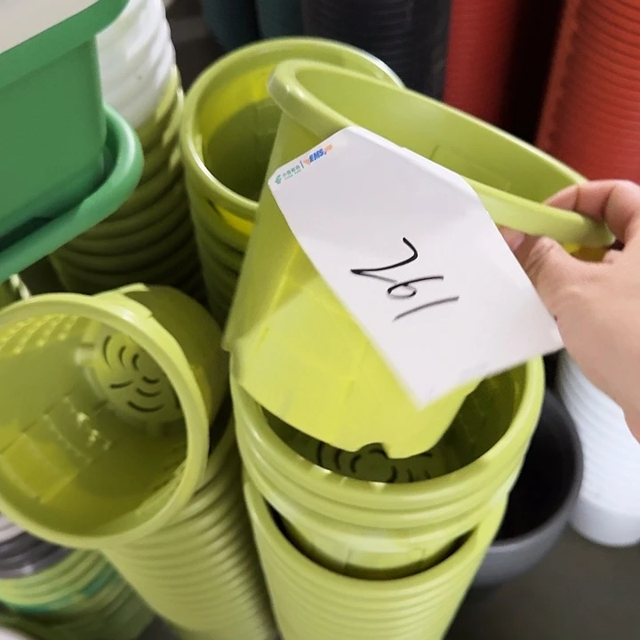 编号261串色6个无托