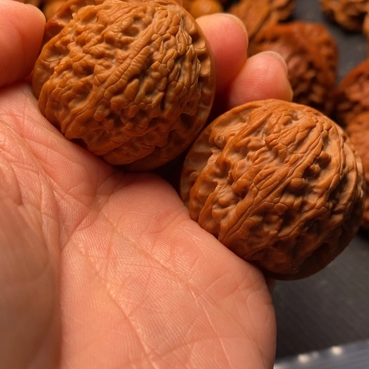秦岭野生文玩核桃