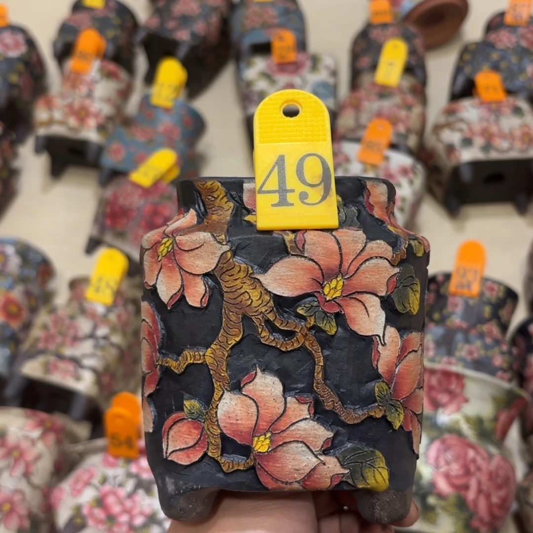 婷***夕哈哈哈哈哈哈哈哈