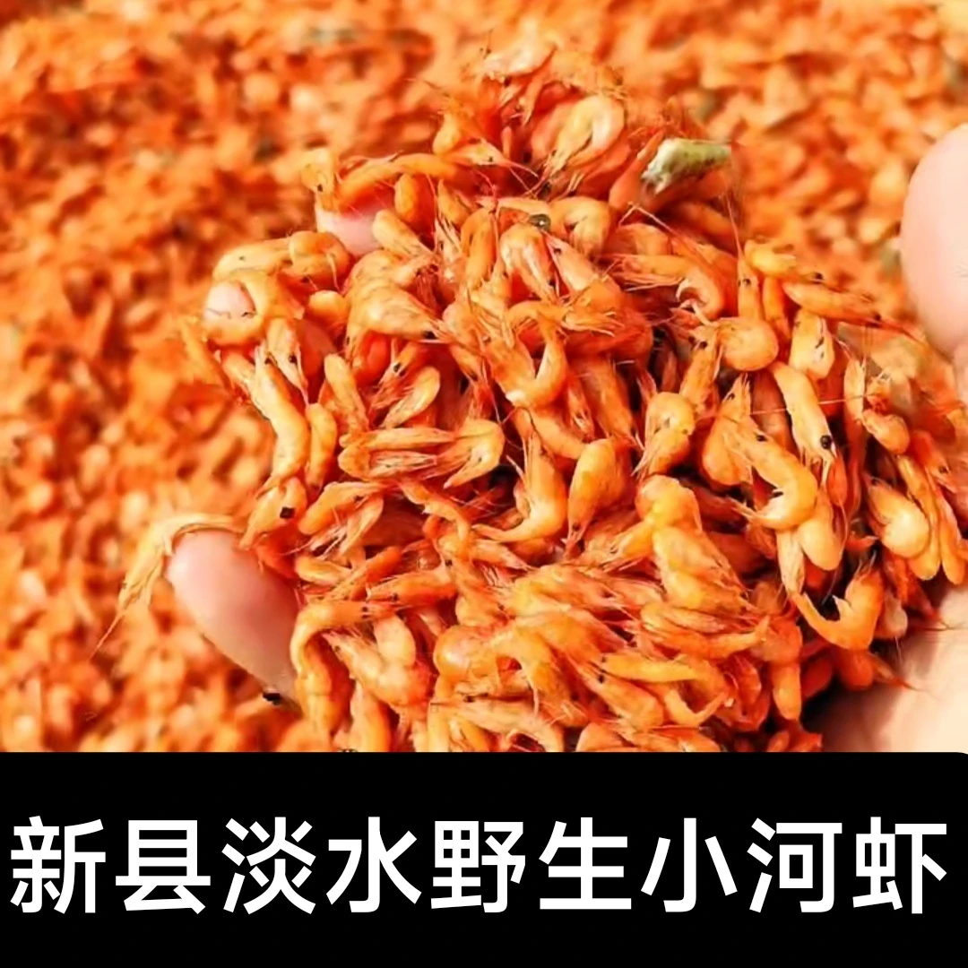 野生小河虾河南新县特产无盐淡水小虾米小河虾炒菜打汤包饺子专用