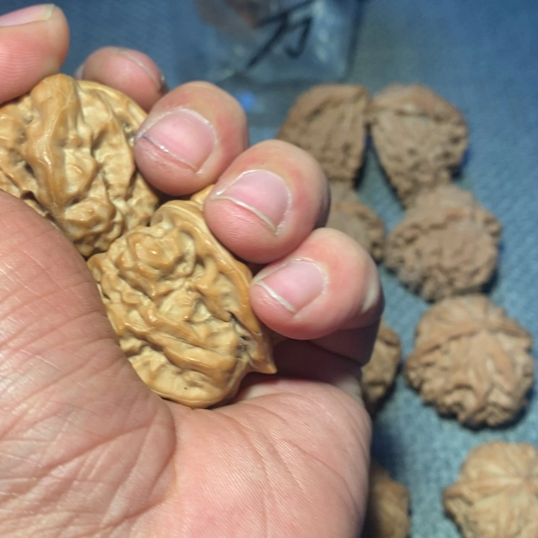 怀***揣蛤蟆头。