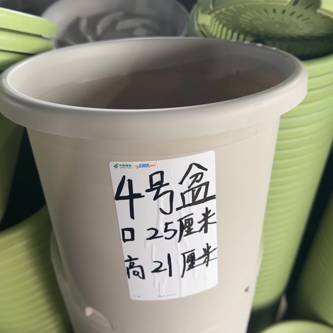 塑料四季4号纯白4个无托