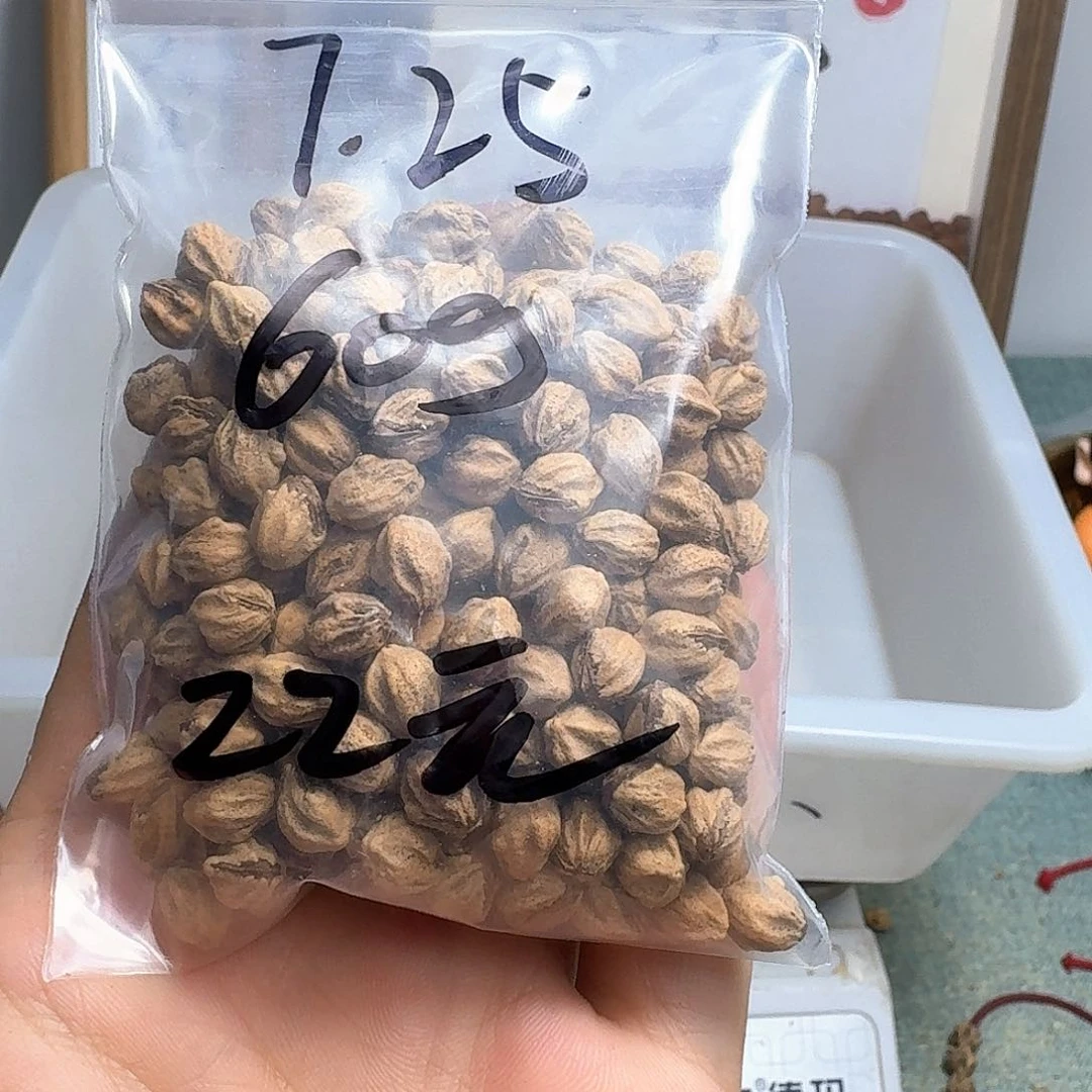 *****柏香籽/百香籽吊坠