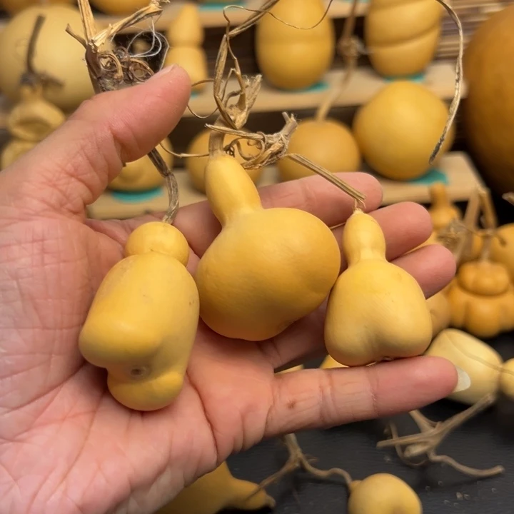 M****k2256666555566666669