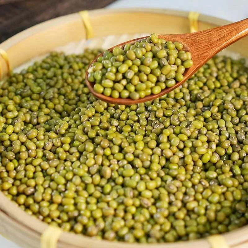 A【土-特-产】绿豆 净含量500g