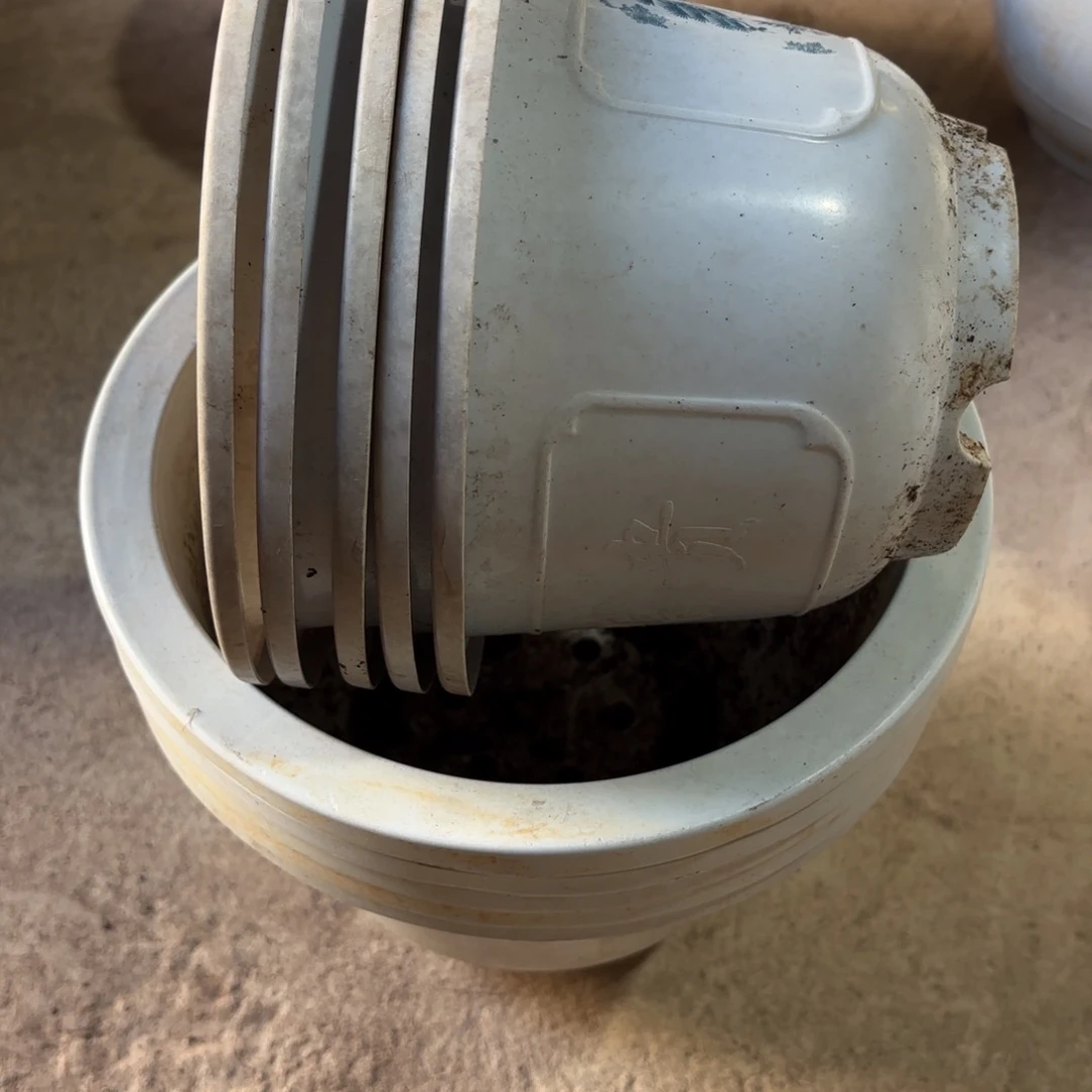 花开富贵24口径发5➕5