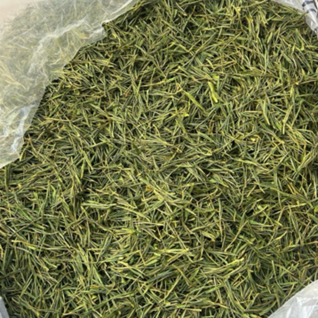 T08（2025）年安吉白茶明后谷雨茶茶原产地兰花香现货