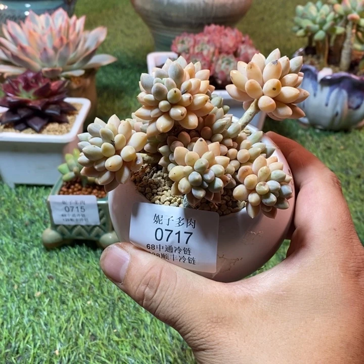 0717啊啊啊啊啊啊啊啊啊啊