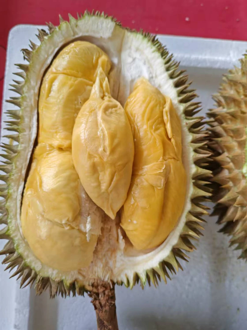 《胖丫液氮榴莲 》甘榜 榴莲老祖 整果带壳新鲜液氮直达1核大不售后