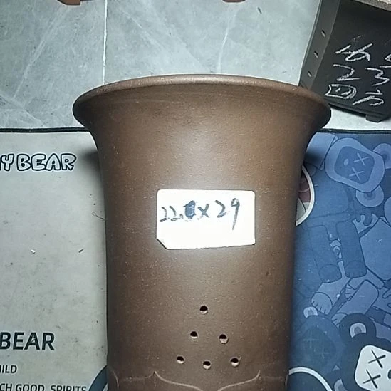莲花金钟一个花盆