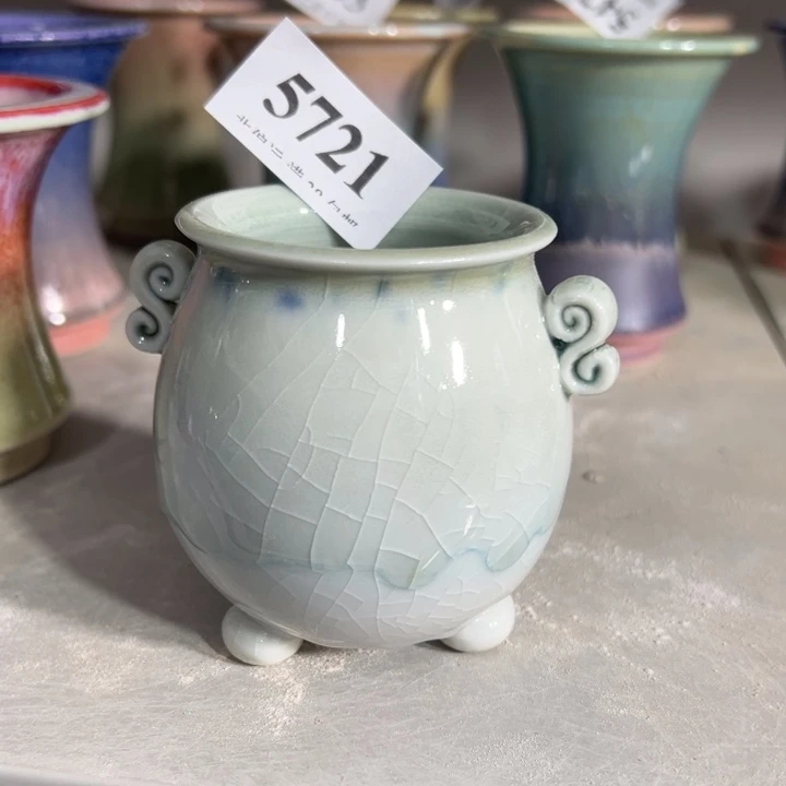 口5～6厘米……特价花盆