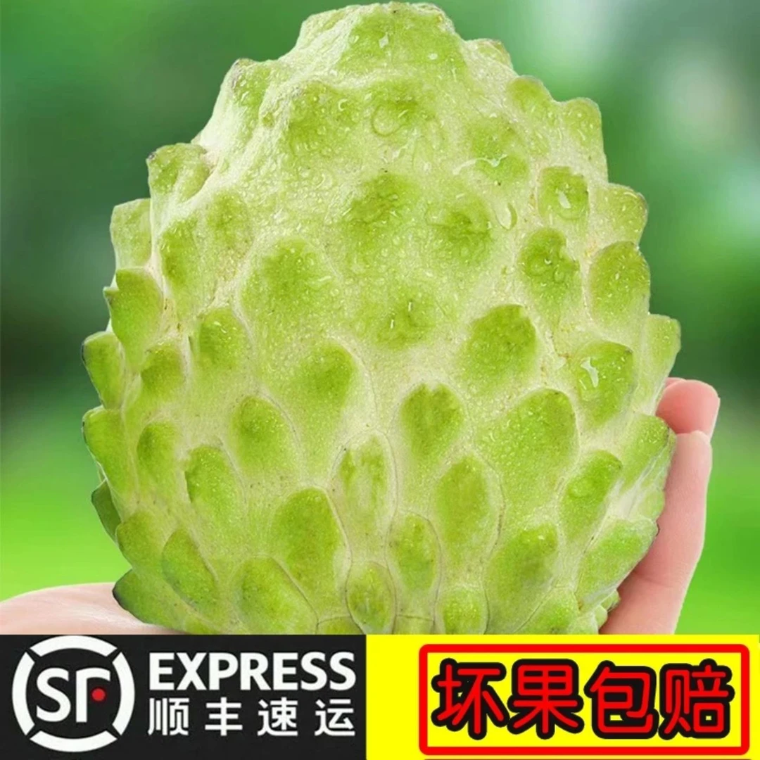 【顺丰直达】潮汕新鲜牛奶凤梨释迦果番荔枝水果特大果大目林檎5斤