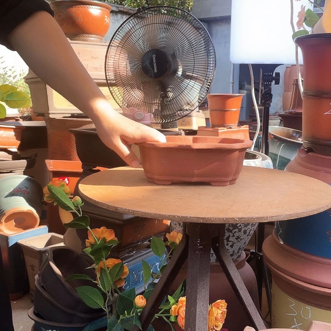 22花盆里的小猫咪们