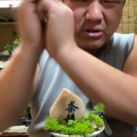 红陶?**起一物一拍所见即所得112