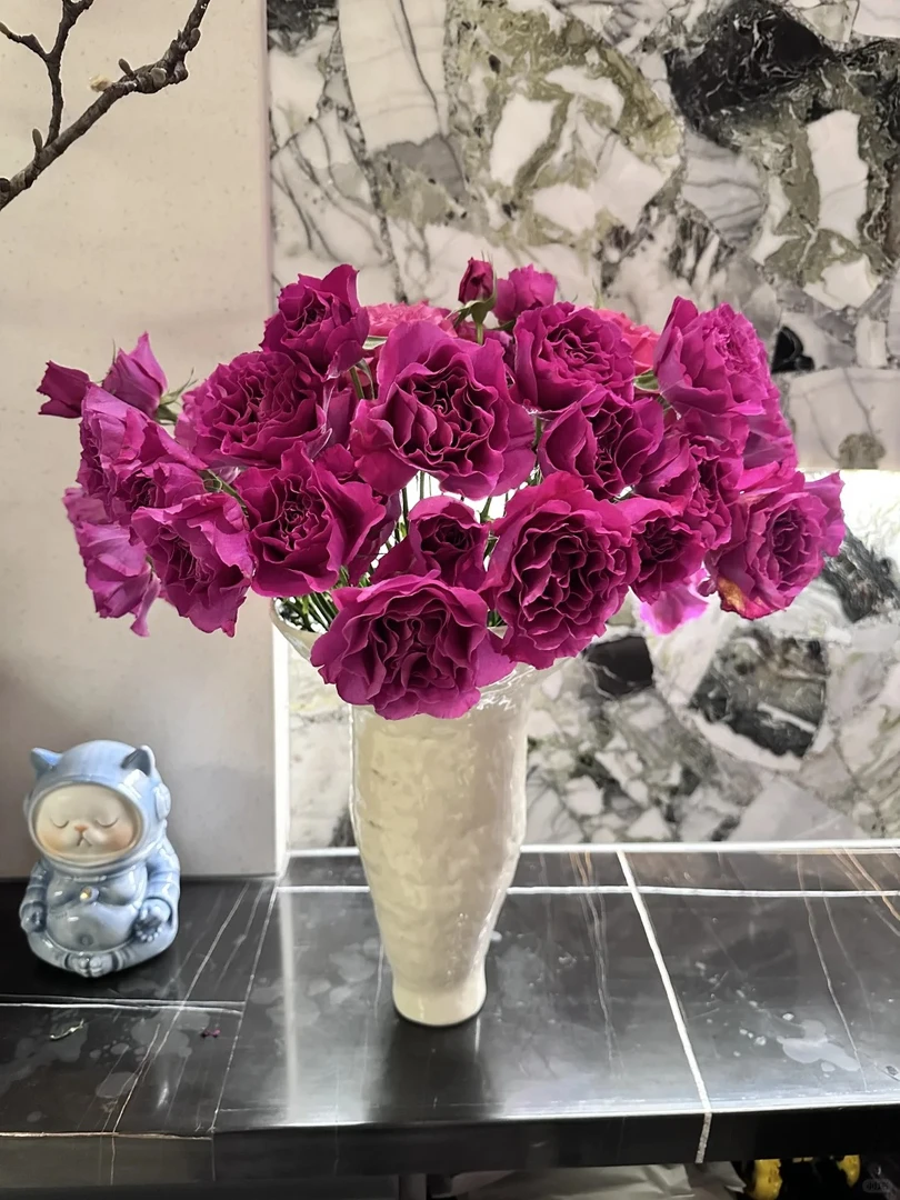 【活动专属】漫舞  多头玫紫色稀有玫瑰 花头多花期长 云南发鲜切花