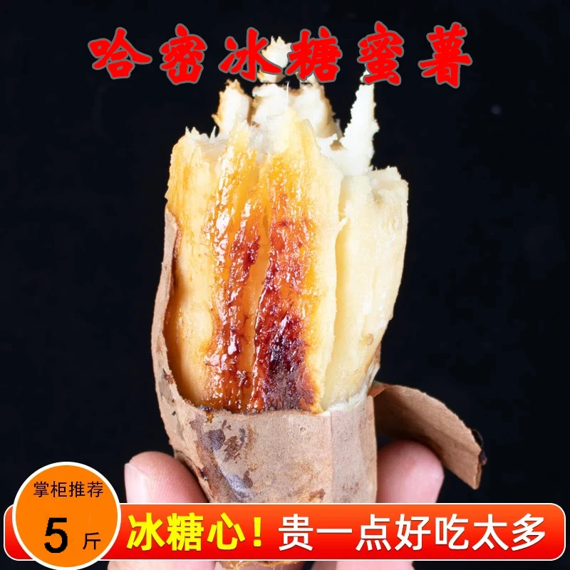 【韦博薯业】正宗哈密冰糖蜜薯新鲜种植沙地软糯甘甜白瓤红薯地瓜