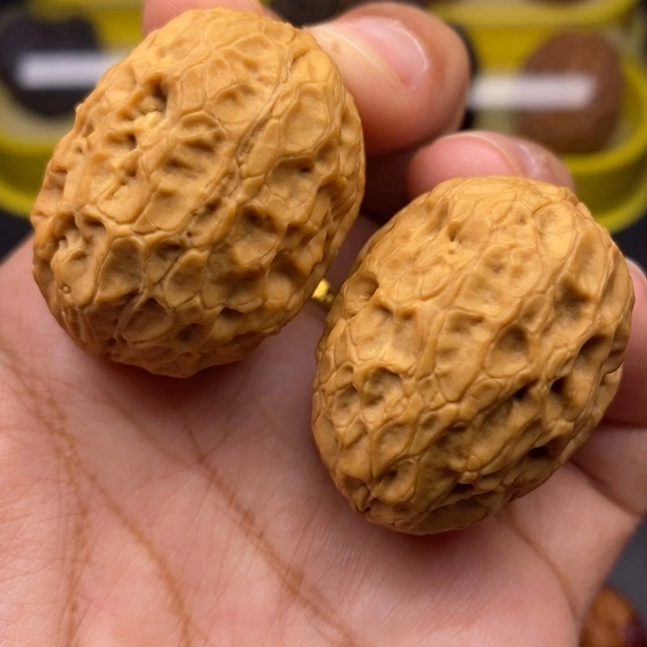 文玩核桃把件35尺穿山甲
