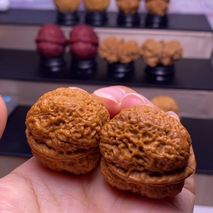 文玩核桃把件古树蚂蚁开背金蟾王24