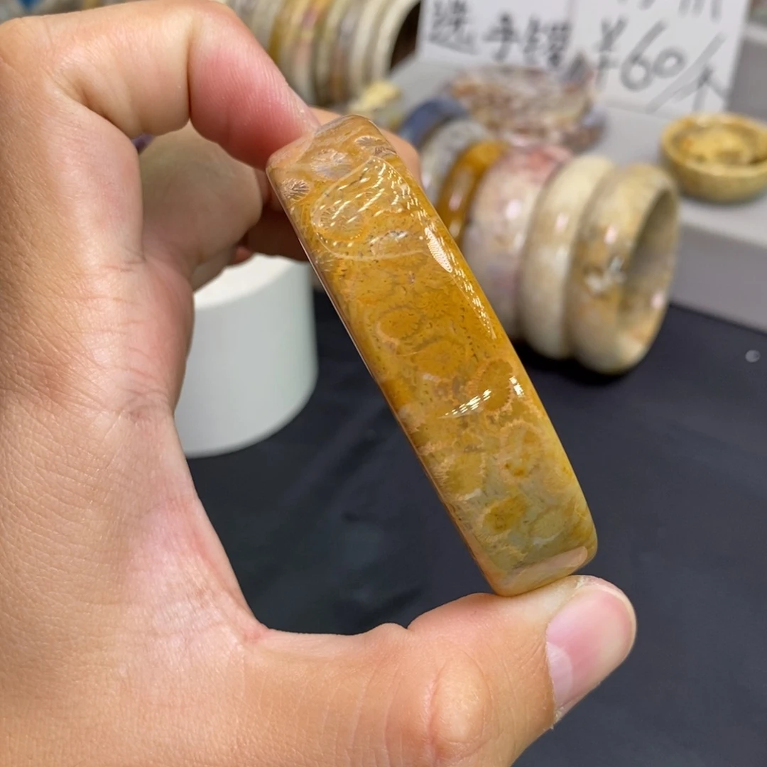 硅化玉未镶嵌手镯