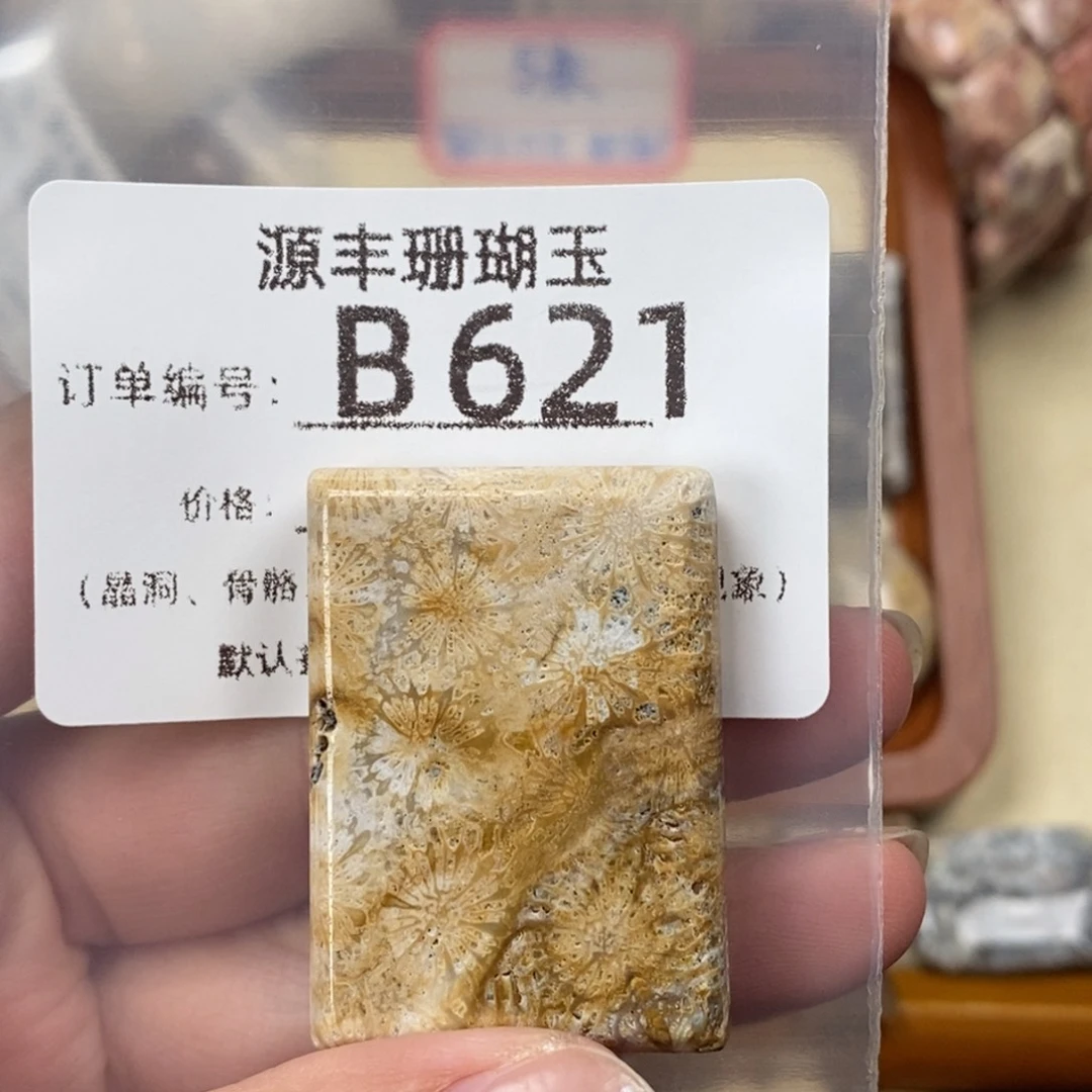 E***n硅化玉未镶嵌颈饰