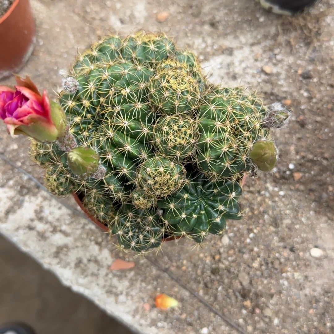 生***味哈哈哈哈哈哈哈哈哈