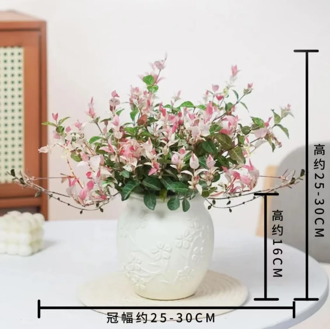 花叶络石室内四季五彩花卉好养客厅阳台彩络叶盆栽办公室桌