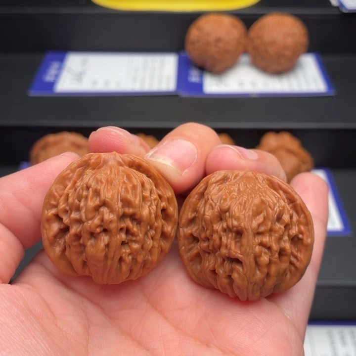 核桃5号 32尺四座楼