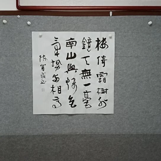 书法四尺斗方草书书法作品