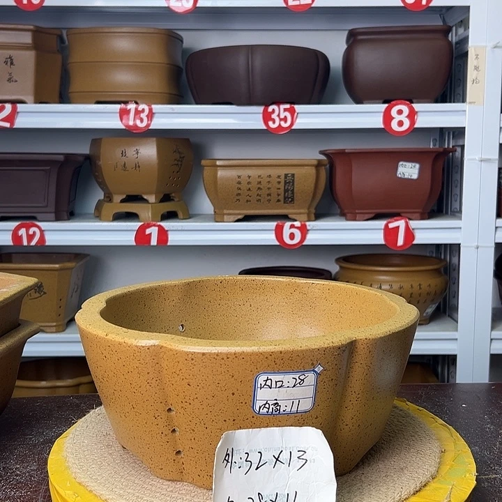 花盆紫砂你在一起