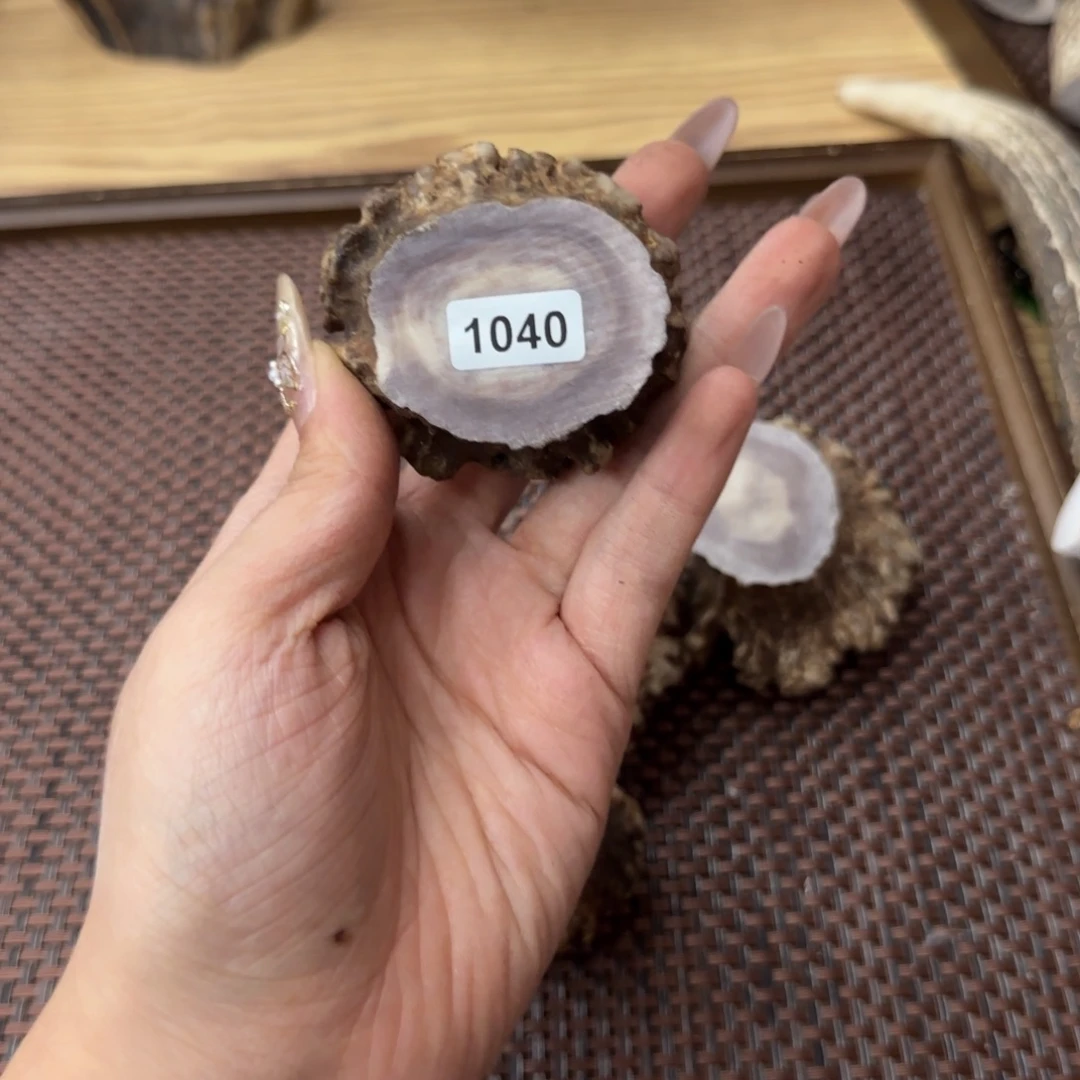 鹿骨其他1040角帽