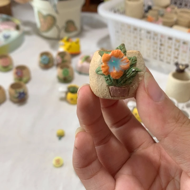 多肉花盆多肉花盆