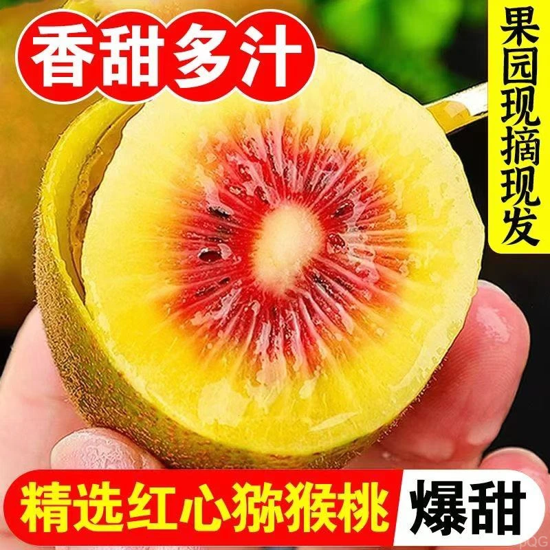 基地直发四川浦江新鲜红心猕猴桃大果彩箱现摘水果奇异果产地直供