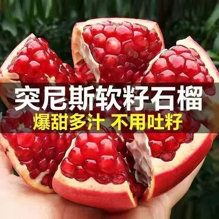 【现采现发】优选会理突尼斯软籽石榴爆汁石榴新鲜水果应季水果z