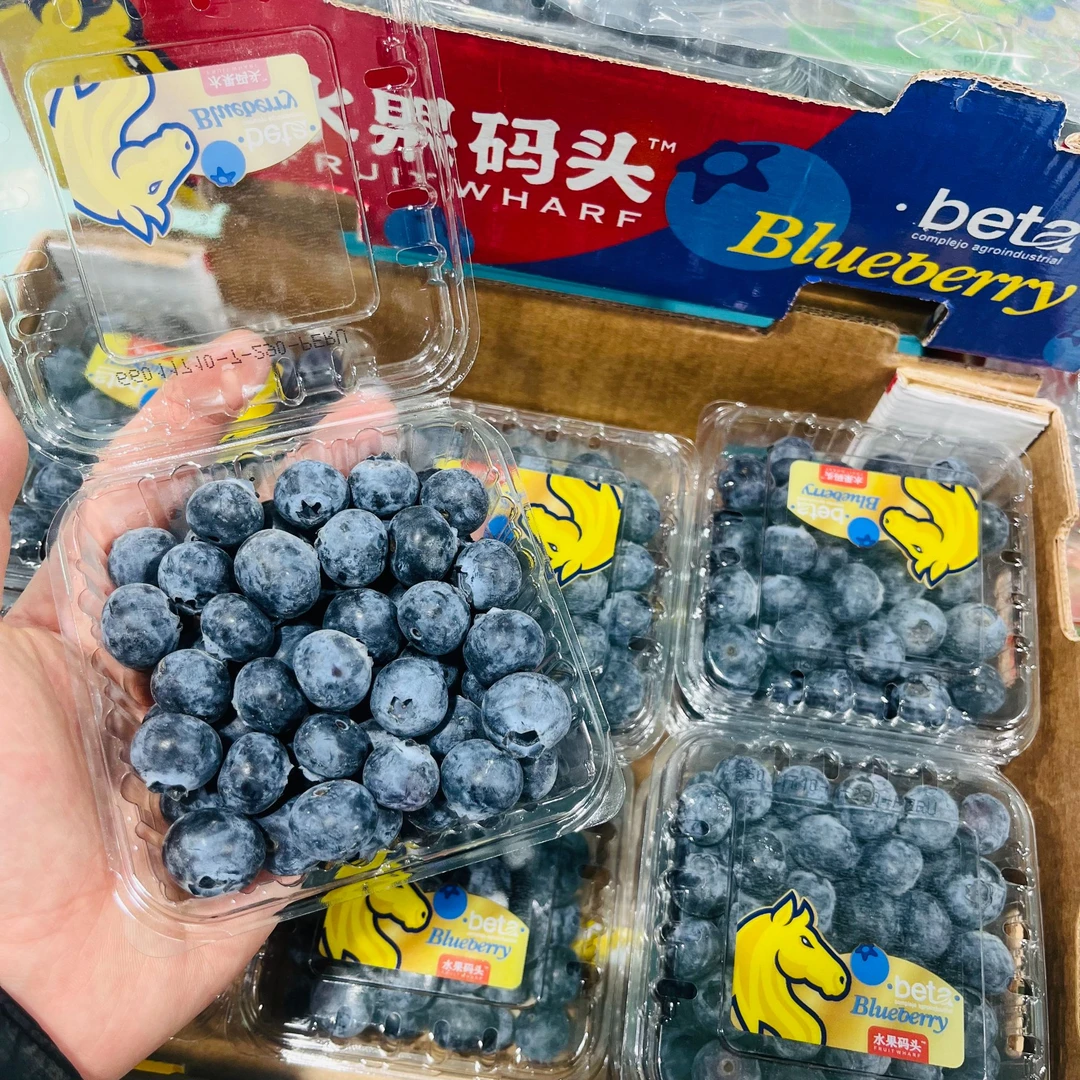【五盒】水果码头18+蓝莓 果粉足口感好 单盒125g 只发山西省内