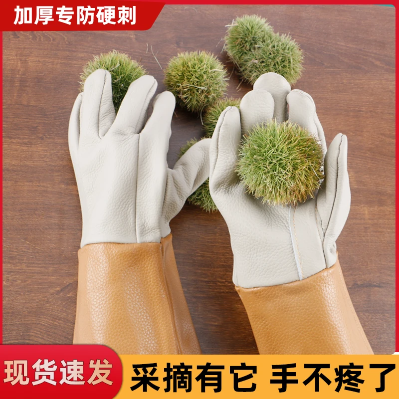 CPAI园艺防刺手套防扎剥板栗神器摘花椒防扎加厚园林修剪防护手套