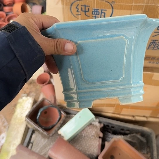 你是什么时候的啊哈子哈哈笑
