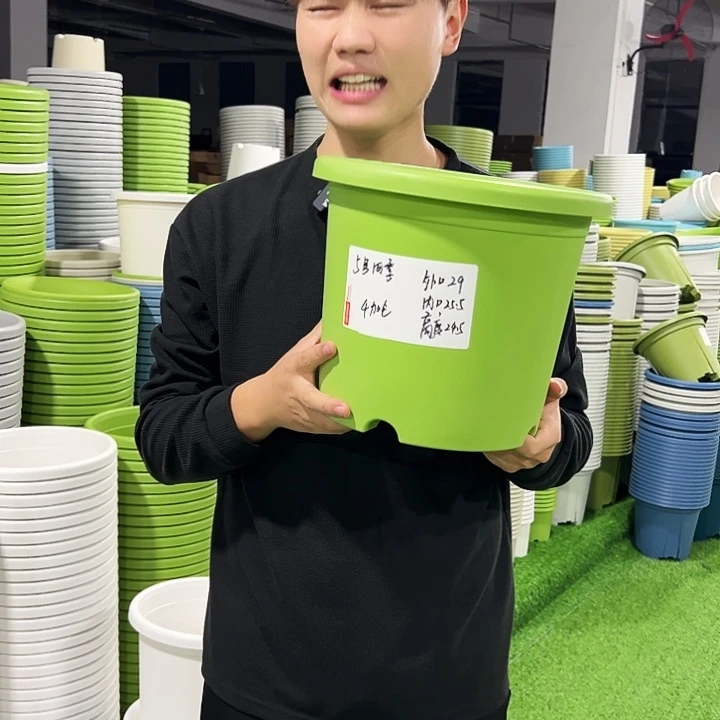 特价5号口29高24.5白色5只无托