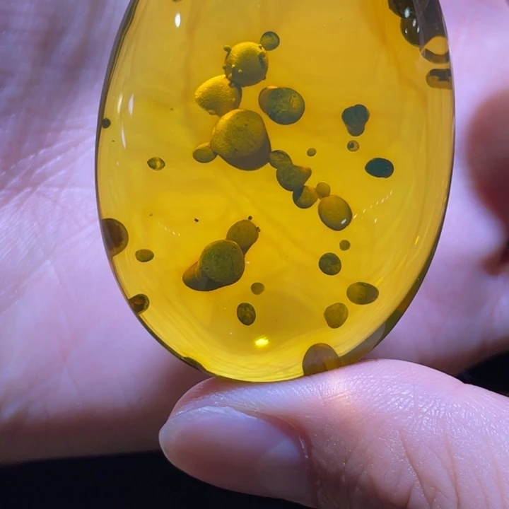 未镶嵌琥珀裸石植物