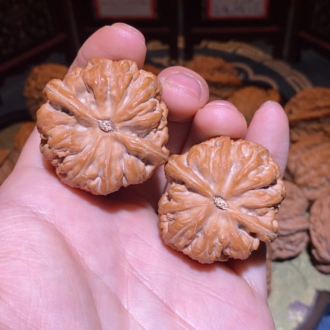 38尺 全品白茬 极品小尺 粗筋