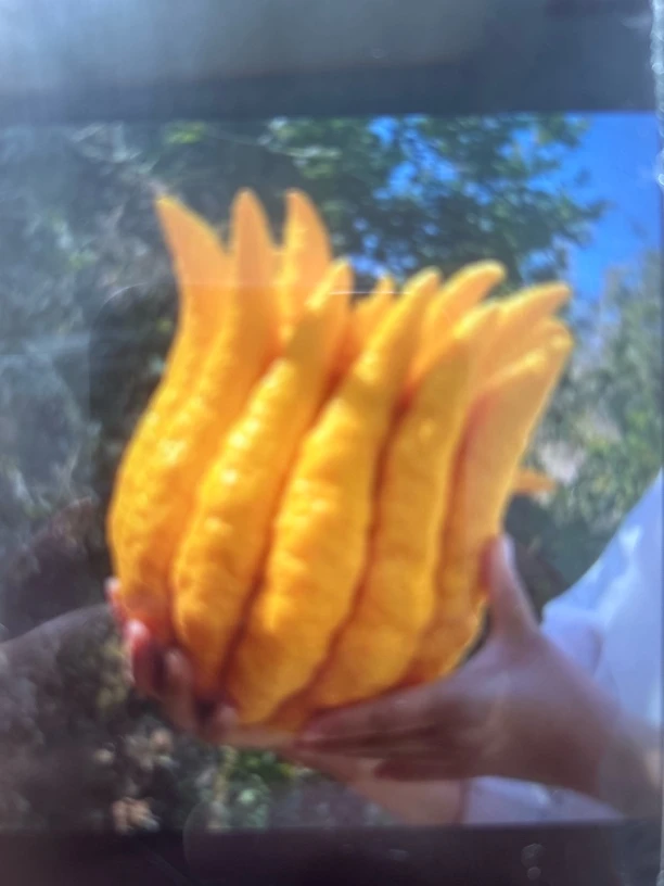 精美时尚简约天然。一物一拍